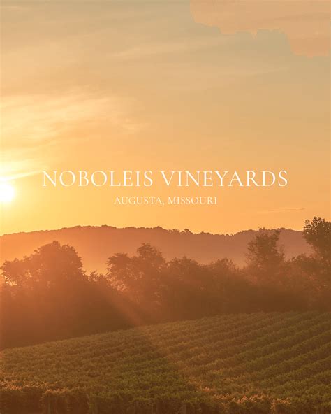 Novel Marketing Agency St. Louis .